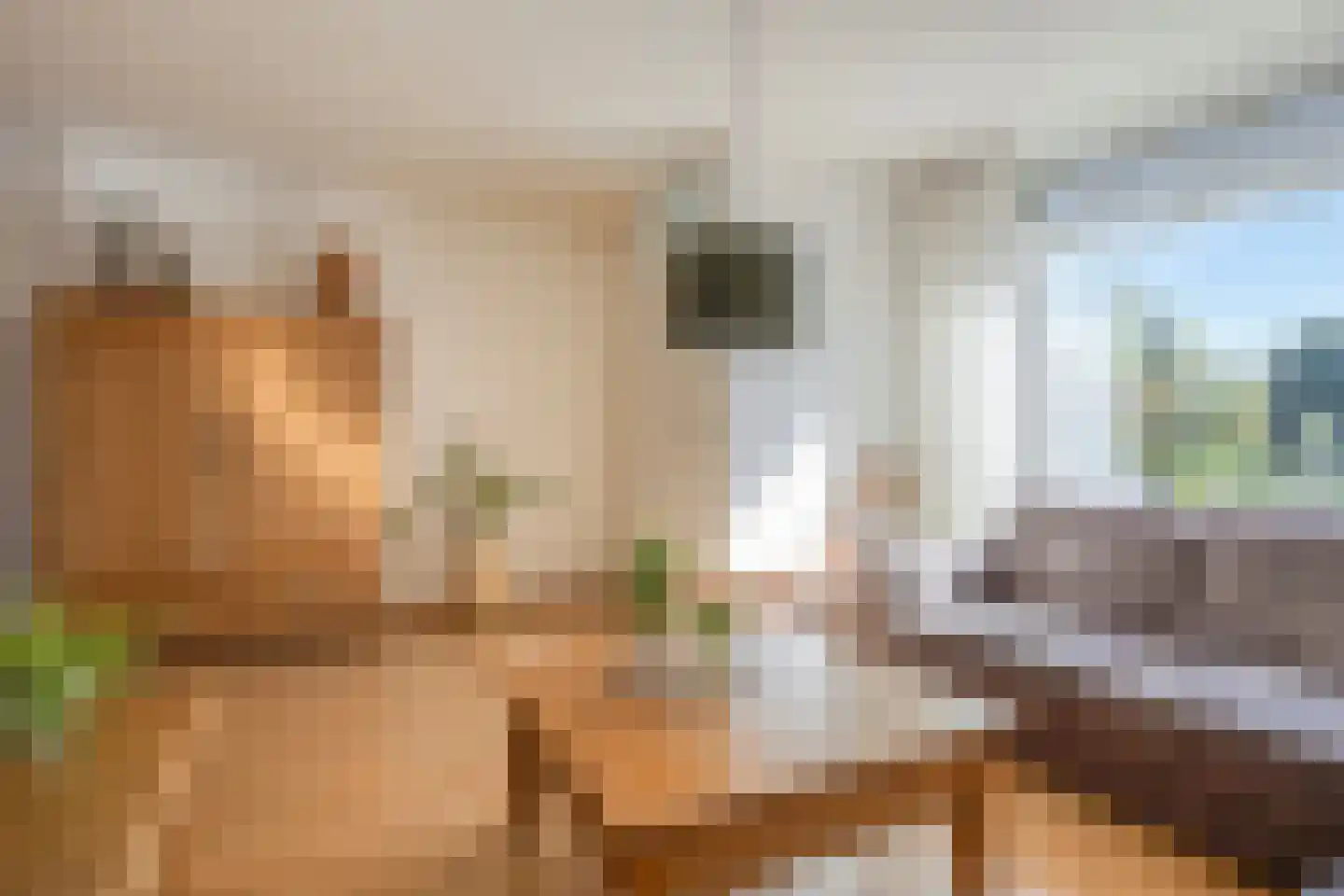 Vogelzang 50 Elst thumbnail 7