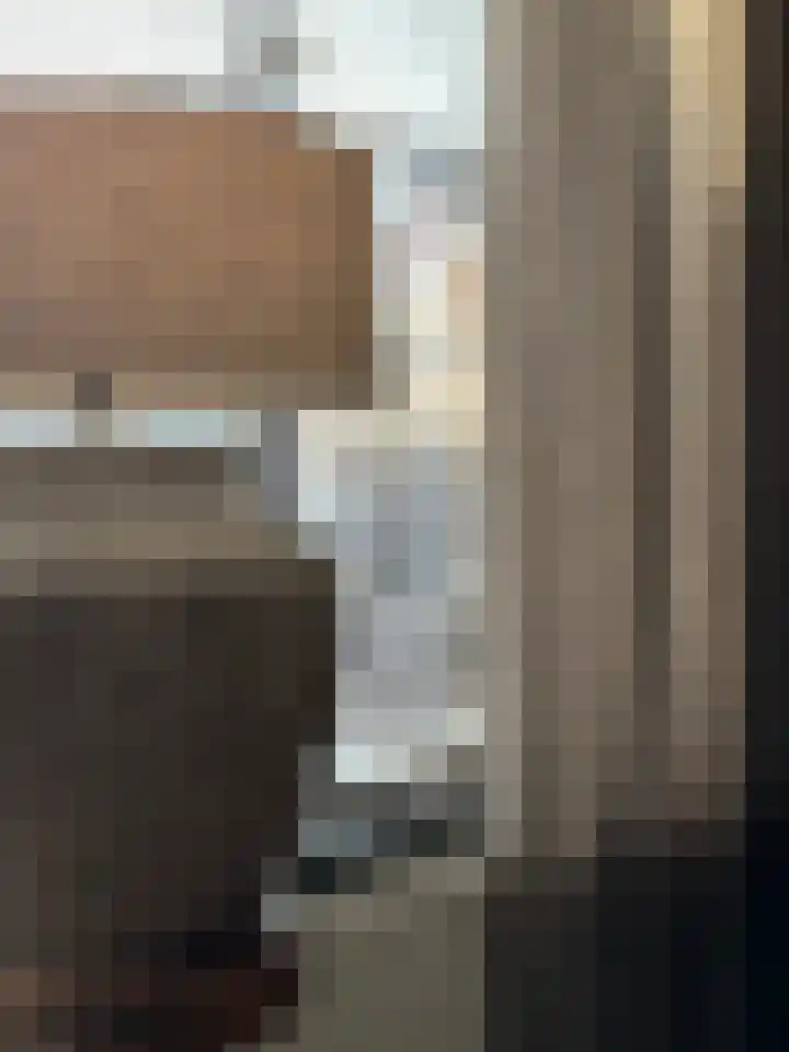 Vogelzang 52 Elst thumbnail 17