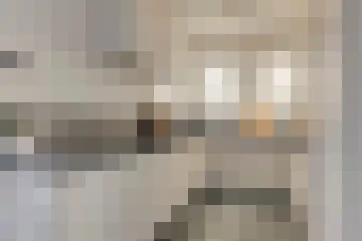 Vogelzang 52 Elst thumbnail 22