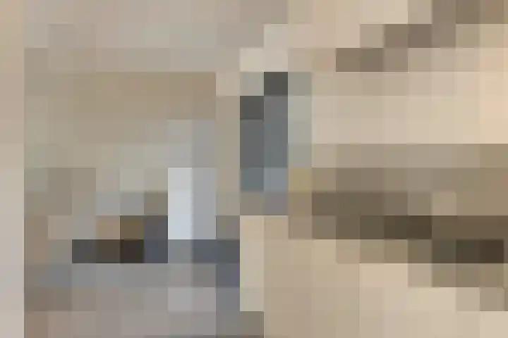 Vogelzang 52 Elst thumbnail 24