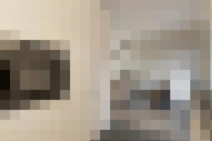 Vogelzang 52 Elst thumbnail 25