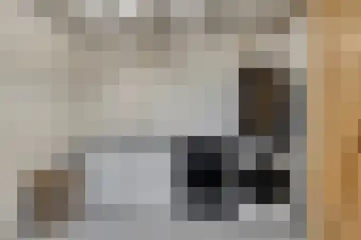 Vogelzang 52 Elst thumbnail 30