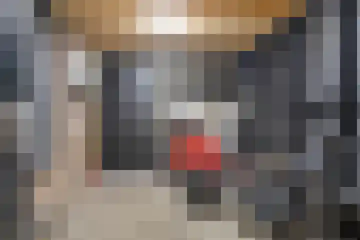 Vogelzang 52 Elst thumbnail 33
