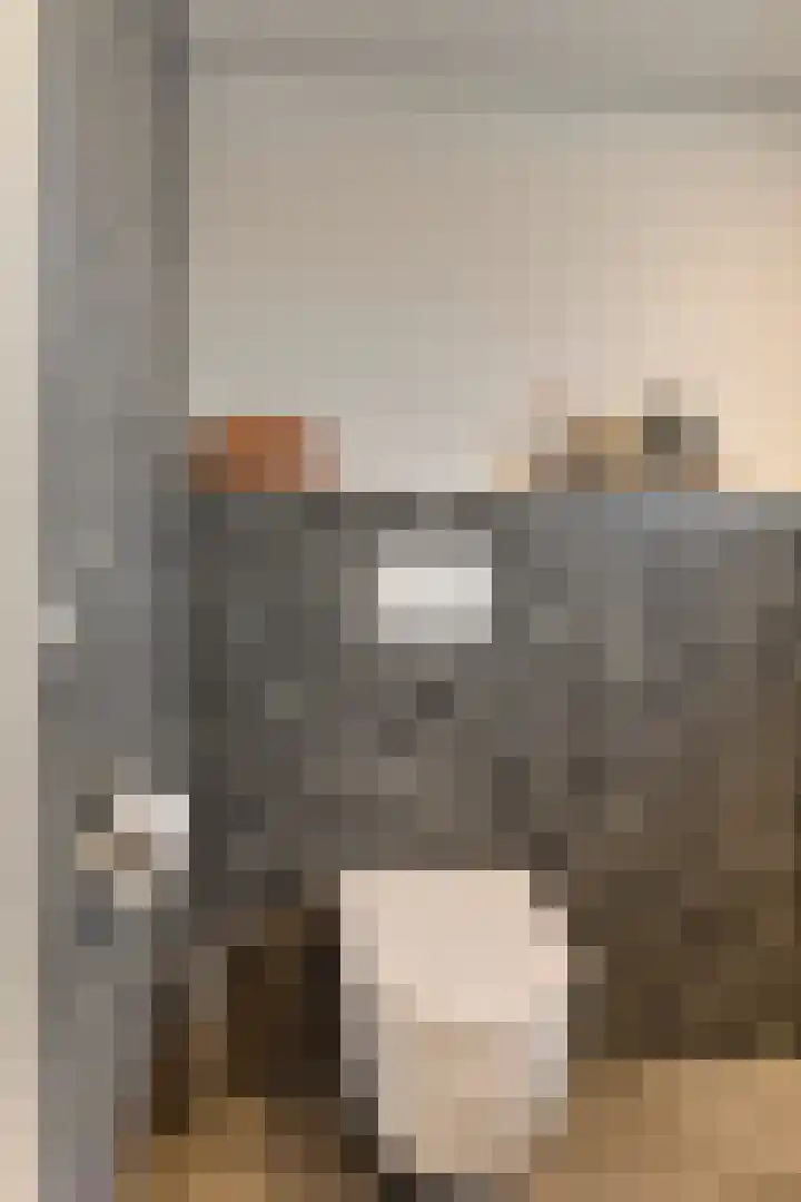 Vogelzang 52 Elst thumbnail 39
