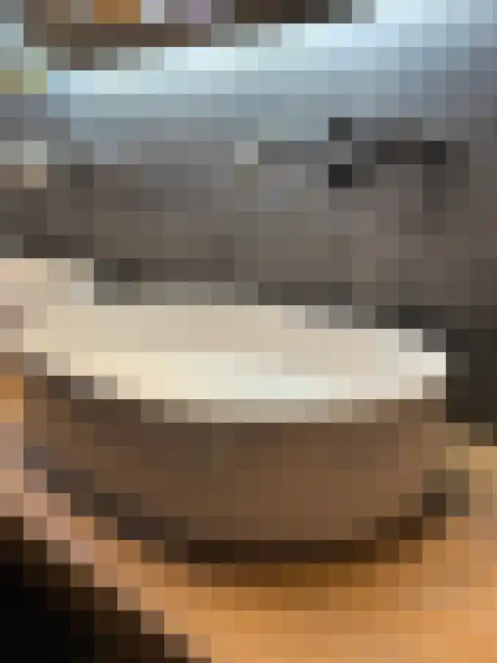 Vogelzang 52 Elst thumbnail 42