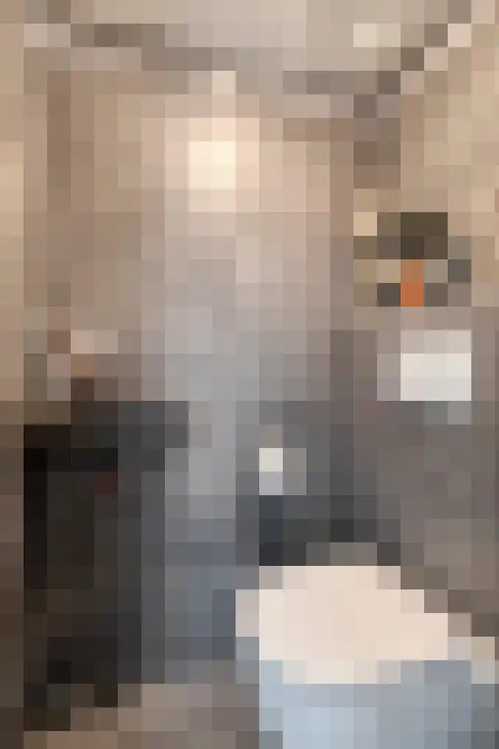 Vogelzang 52 Elst thumbnail 9