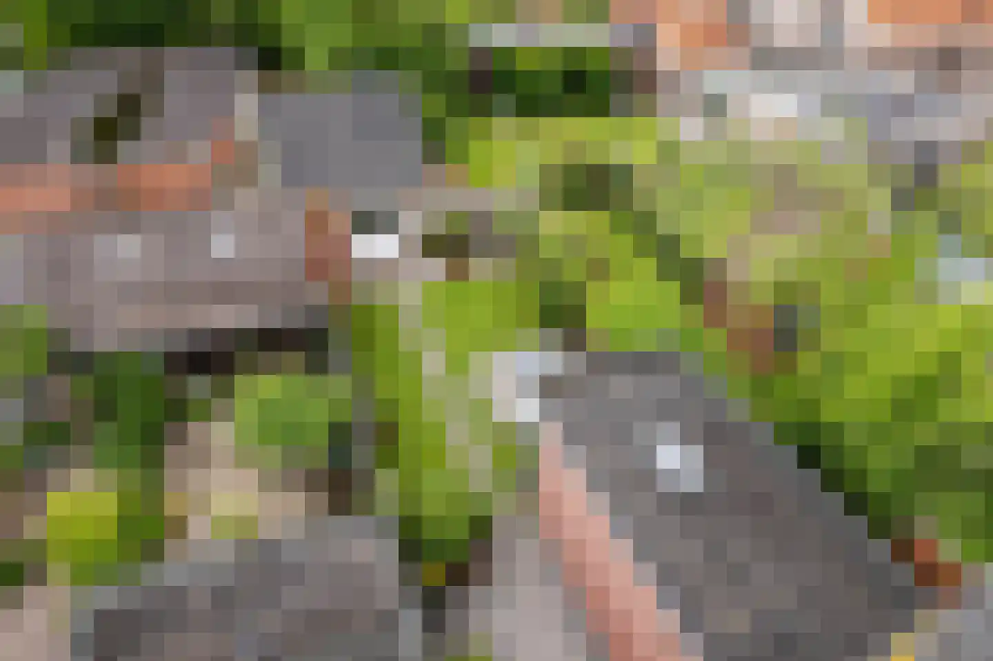 Vogelzang 54 Drachten thumbnail 34
