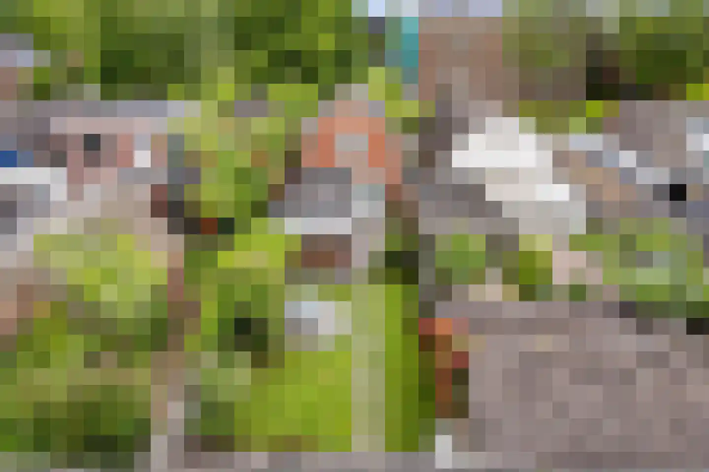 Vogelzang 54 Drachten thumbnail 35