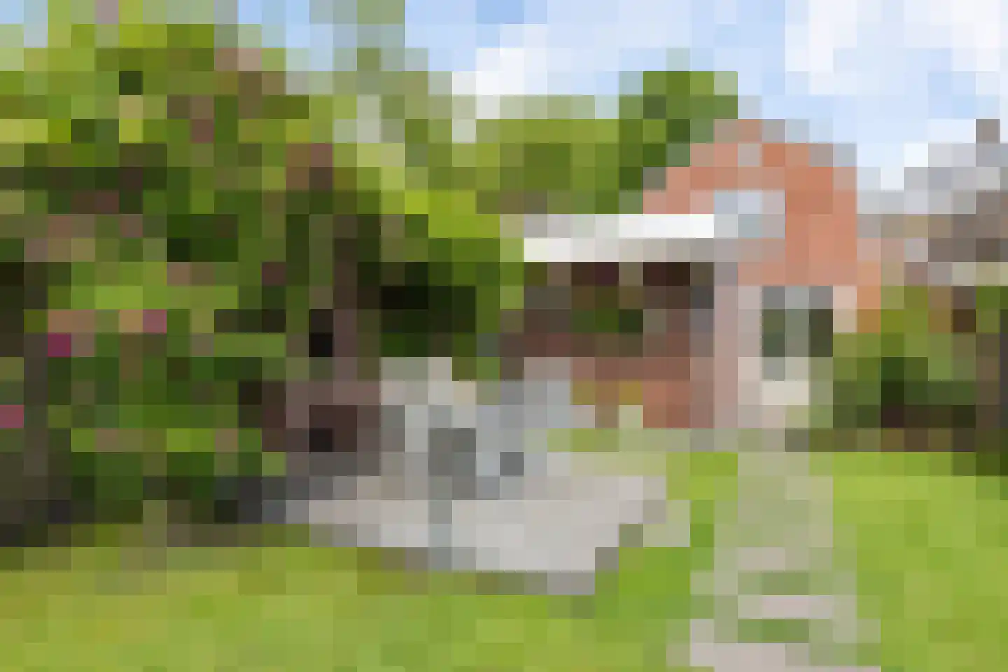 Vogelzang 54 Drachten thumbnail 36