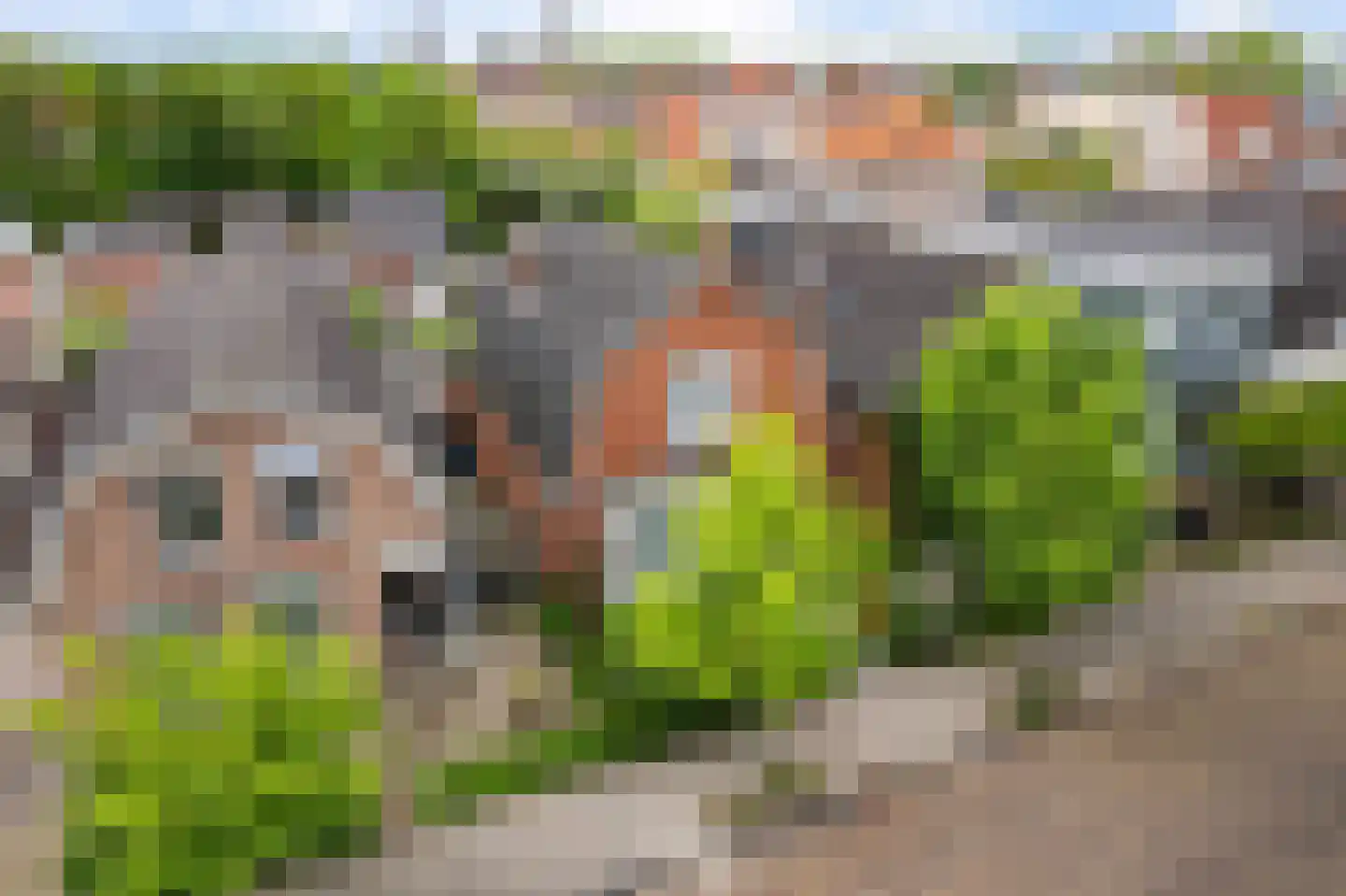 Vogelzang 54 Drachten thumbnail 41