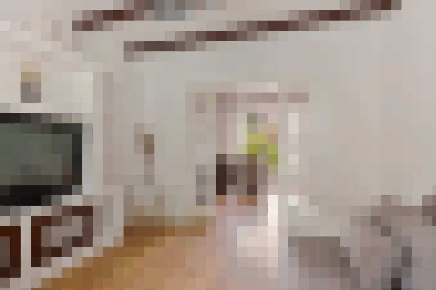 Vogelzang 54 Drachten thumbnail 5