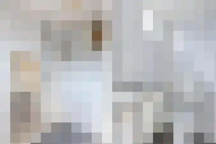 Vogelzang 76 Drachten thumbnail 20