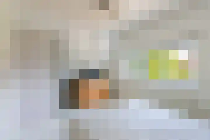 Vogelzang 76 Drachten thumbnail 23