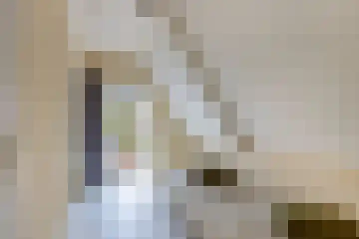 Vogelzang 76 Drachten thumbnail 25