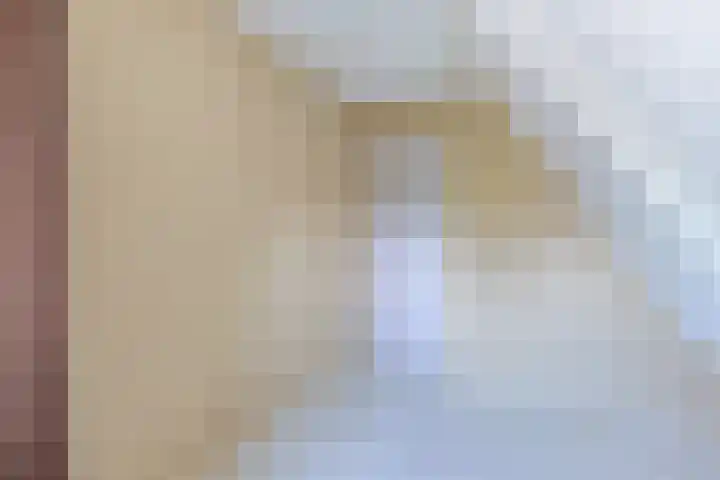 Vogelzang 76 Drachten thumbnail 27