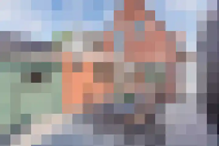 Vogelzang 76 Drachten thumbnail 28