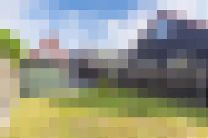 Vogelzang 76 Drachten thumbnail 31