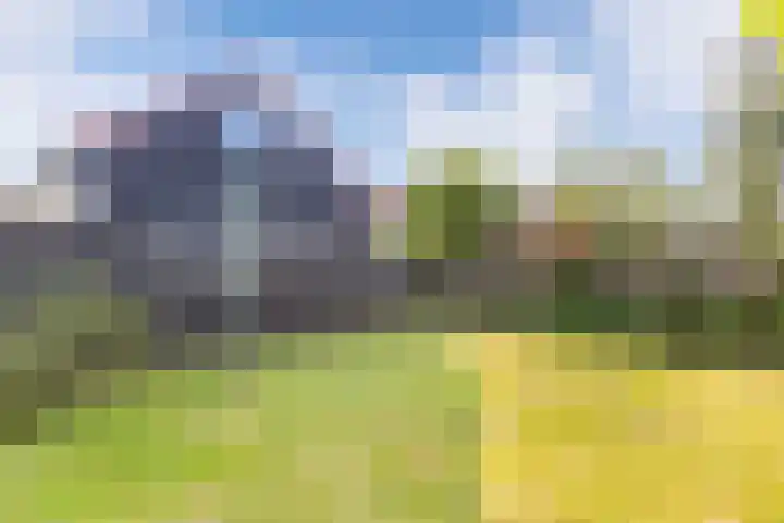 Vogelzang 76 Drachten thumbnail 32
