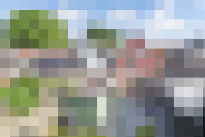 Vogelzang 76 Drachten thumbnail 33
