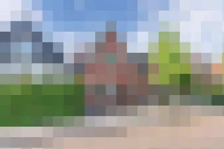 Vogelzang 76 Drachten thumbnail 34