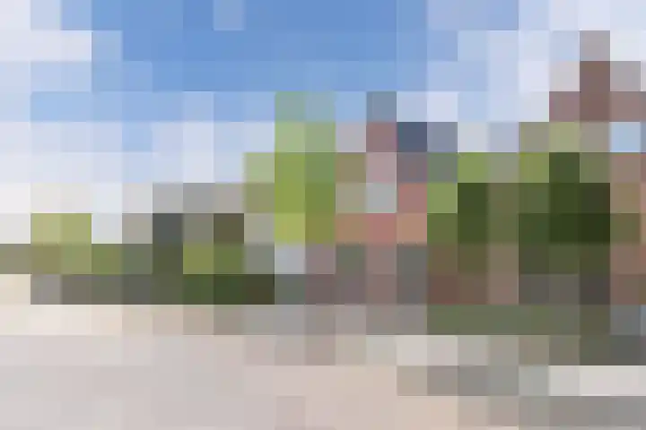 Vogelzang 76 Drachten thumbnail 35