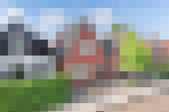 Vogelzang 76 Drachten thumbnail 4