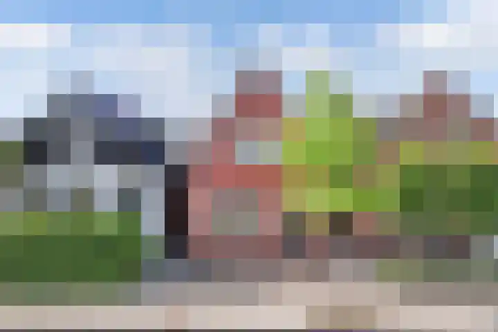 Vogelzang 76 Drachten thumbnail 5