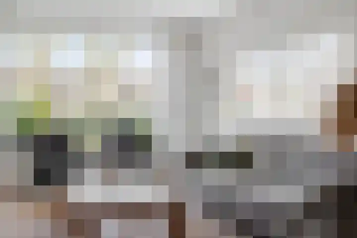 Vogelzang 8 Heino thumbnail 10