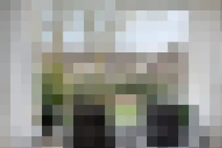Vogelzang 8 Heino thumbnail 11