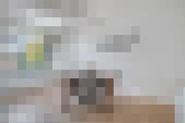 Vogelzang 8 Heino thumbnail 14