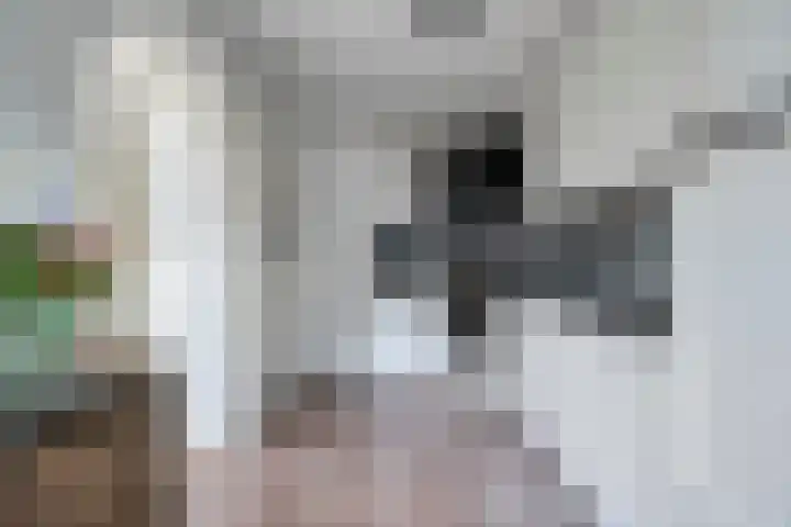 Vogelzang 8 Heino thumbnail 16
