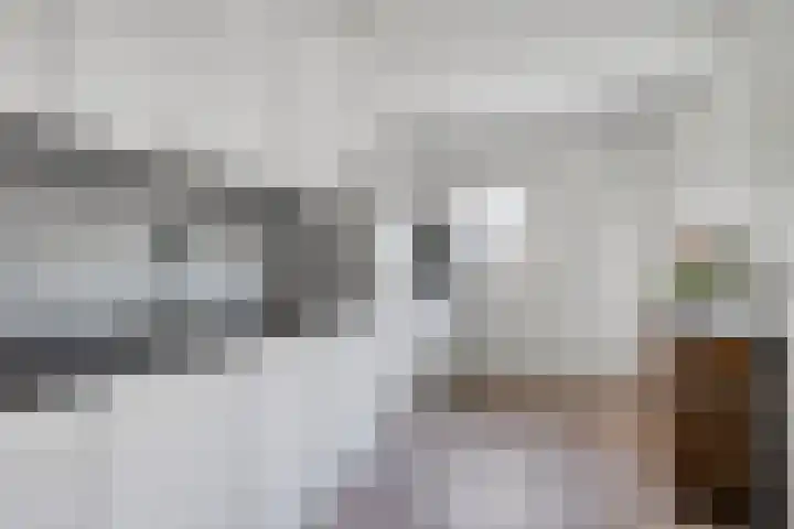 Vogelzang 8 Heino thumbnail 17