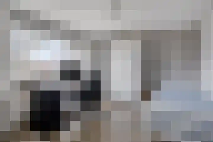 Vogelzang 8 Heino thumbnail 22