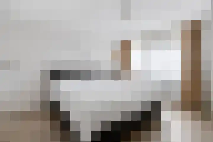 Vogelzang 8 Heino thumbnail 25