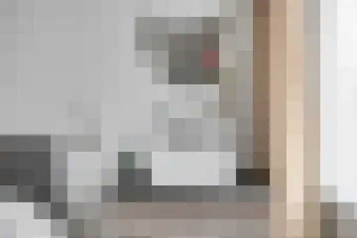 Vogelzang 8 Heino thumbnail 27