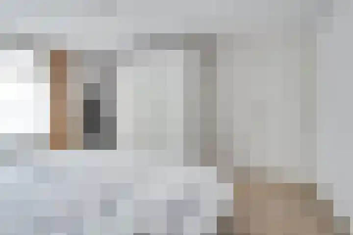 Vogelzang 8 Heino thumbnail 29