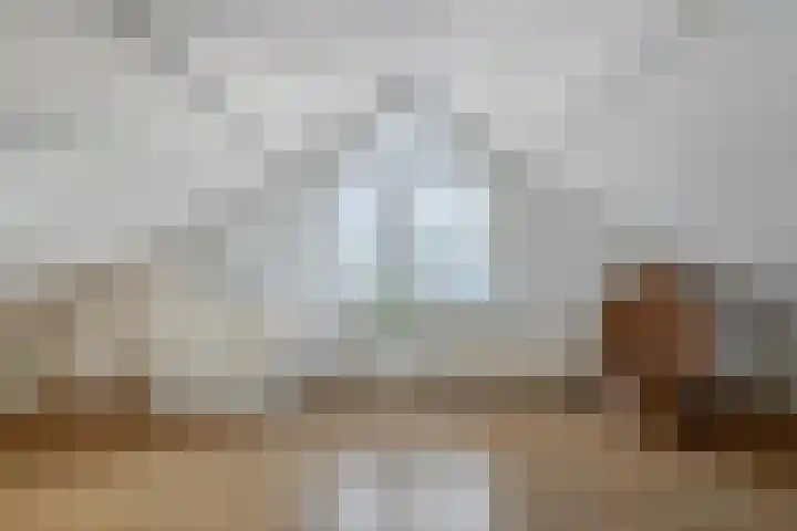 Vogelzang 8 Heino thumbnail 34