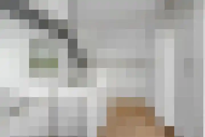 Vogelzang 8 Heino thumbnail 37