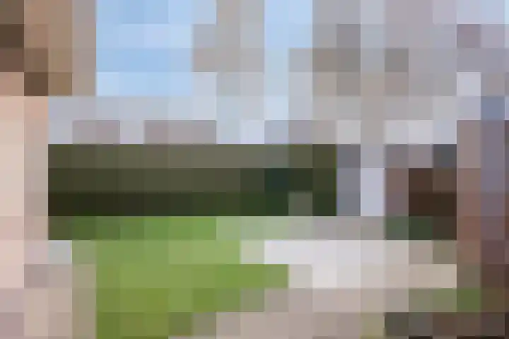 Vogelzang 8 Heino thumbnail 38