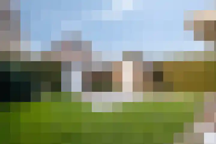 Vogelzang 8 Heino thumbnail 39
