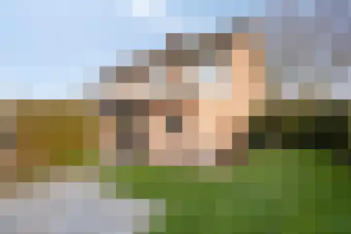Vogelzang 8 Heino thumbnail 40