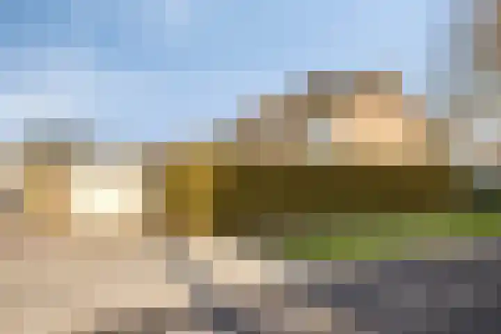 Vogelzang 8 Heino thumbnail 42