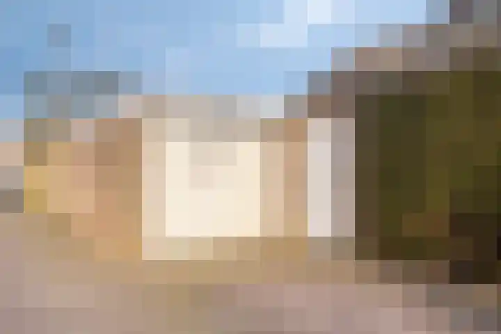 Vogelzang 8 Heino thumbnail 43