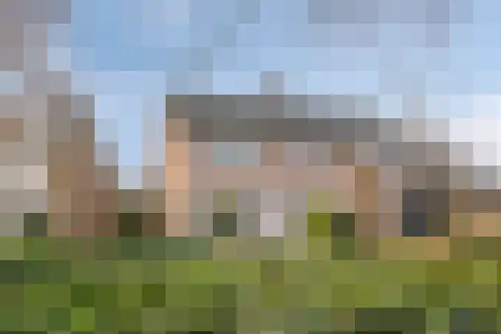 Vogelzang 8 Heino thumbnail 47
