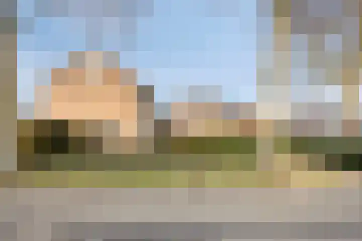 Vogelzang 8 Heino thumbnail 48