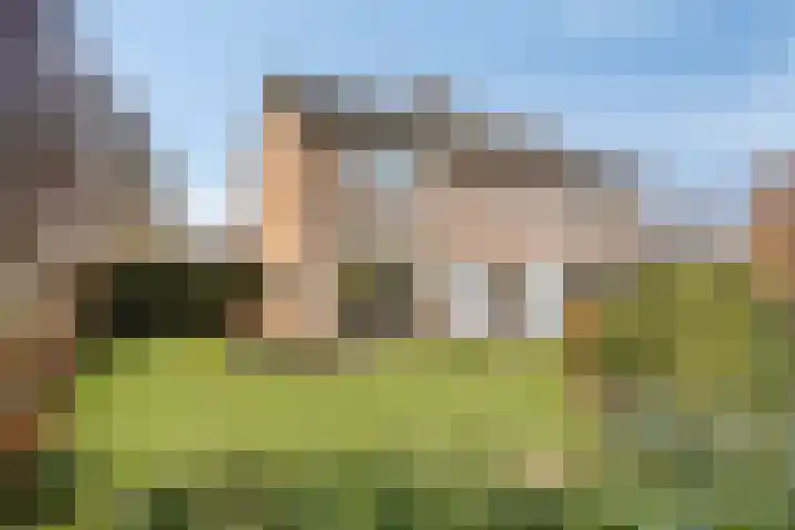 Vogelzang 8 Heino thumbnail 5