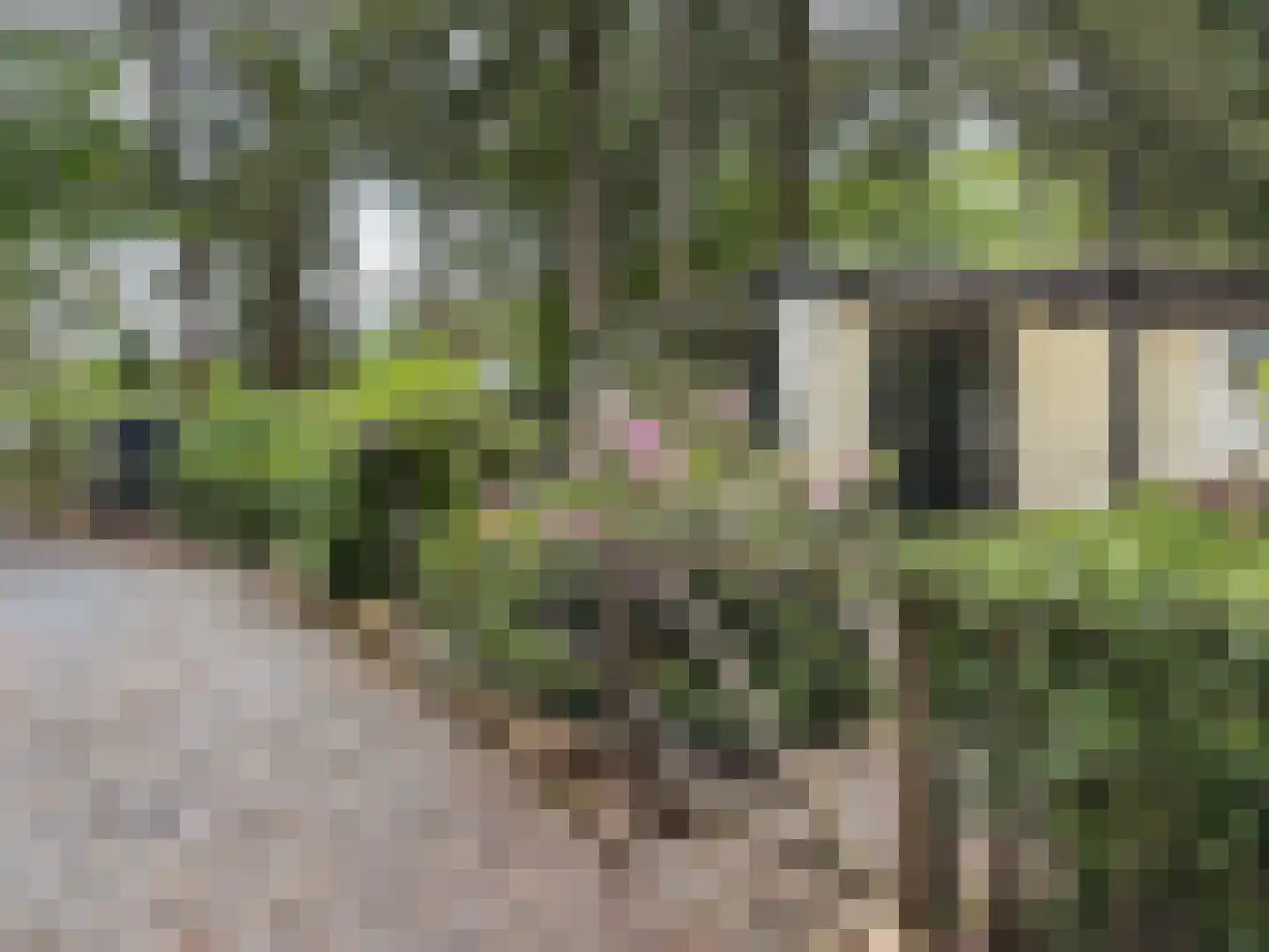 Vogelzang Veldweg 23 114 Hattemerbroek thumbnail 4