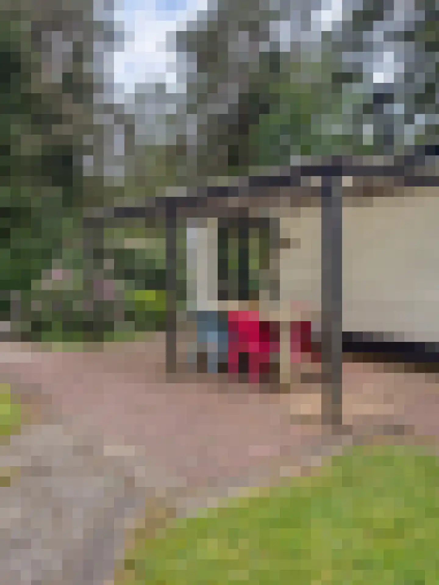 Vogelzang Veldweg 23 114 Hattemerbroek thumbnail 6