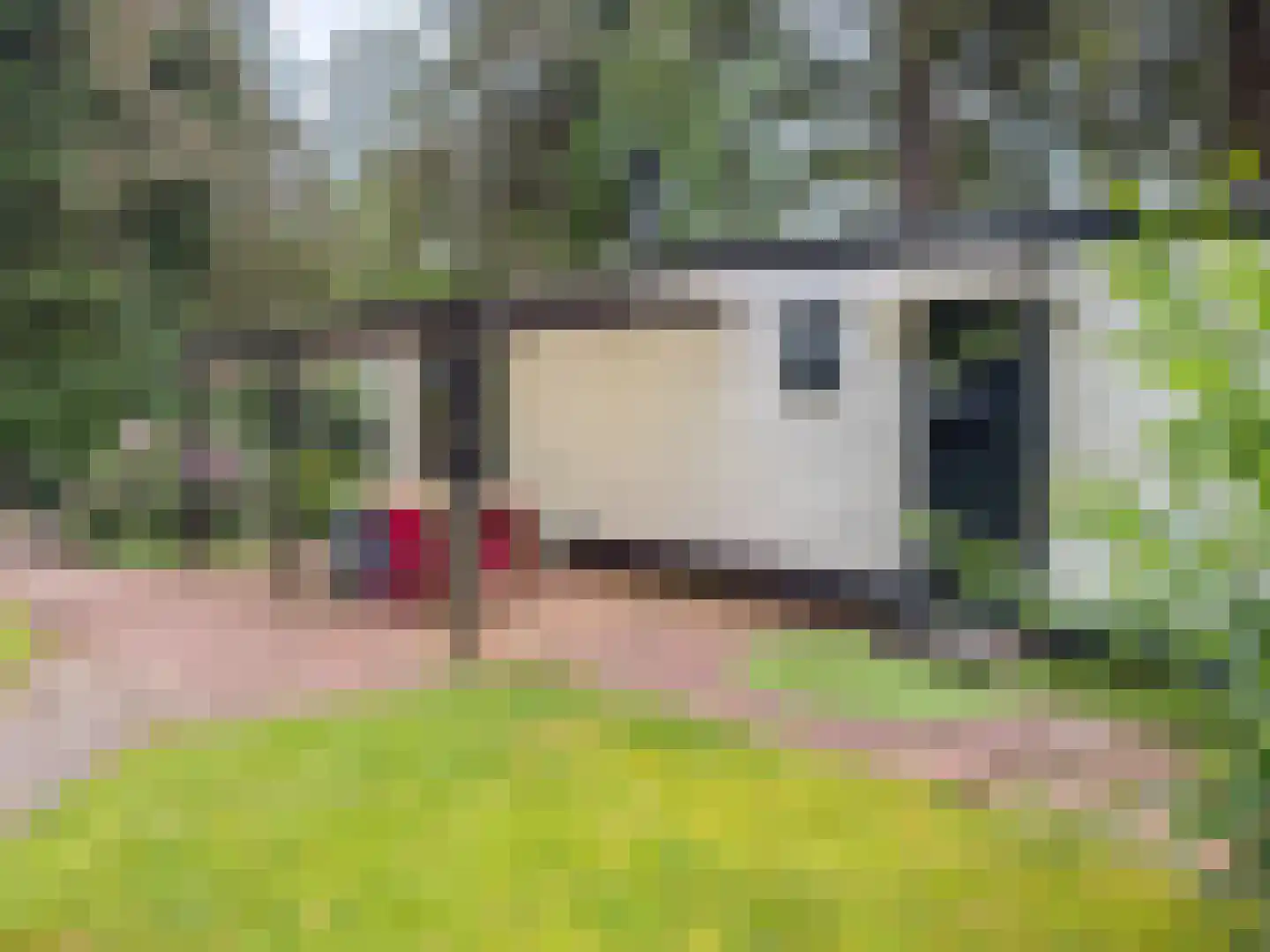 Vogelzang Veldweg 23 114 Hattemerbroek thumbnail 7