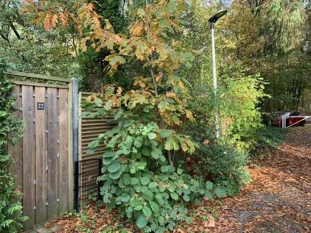 Vogelzang Veldweg 23 22 Hattemerbroek thumbnail 12